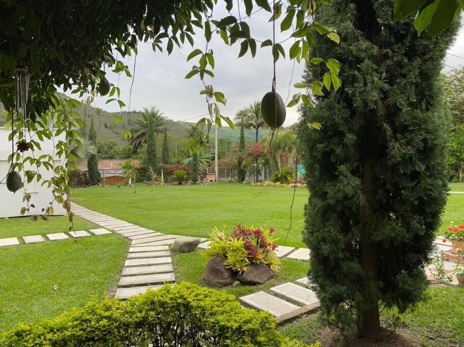 Pinos Villa